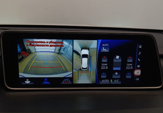 Подержанный автомобиль Lexus RX 2018 года (20 фото)