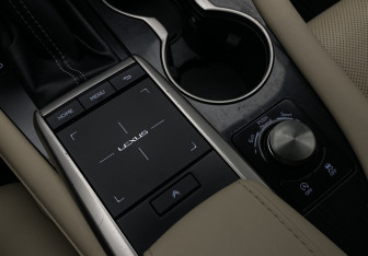 Подержанный автомобиль Lexus RX 2021 года (17 фото)
