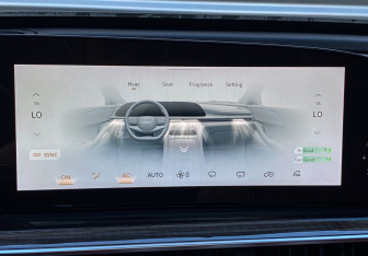 Подержанный автомобиль Exeed RX 2023 года (23 фото)