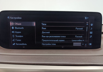 Подержанный автомобиль Lexus RX 2019 года (20 фото)