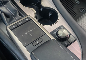 Подержанный автомобиль Lexus RX 2020 года (19 фото)