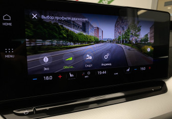 Подержанный автомобиль Skoda Octavia Liftback 2020 года (24 фото)